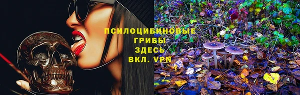 прущие крисы Абаза
