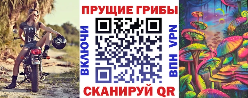 Галлюциногенные грибы Psilocybine cubensis  blacksprut рабочий сайт  Югорск 